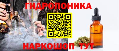 шишки Чебаркуль
