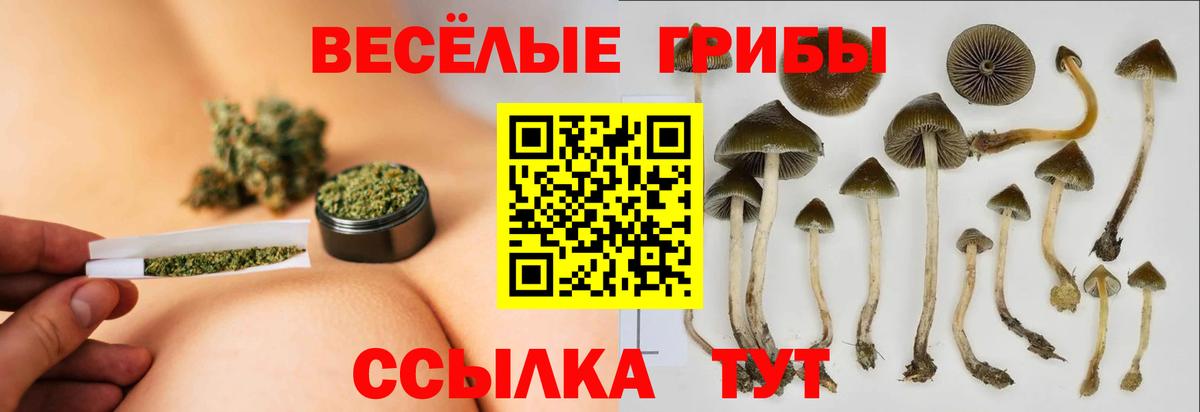 Галлюциногенные грибы ЛСД  Вход с VPN  Галлюциногенные грибы Cubensis  Нурлат 